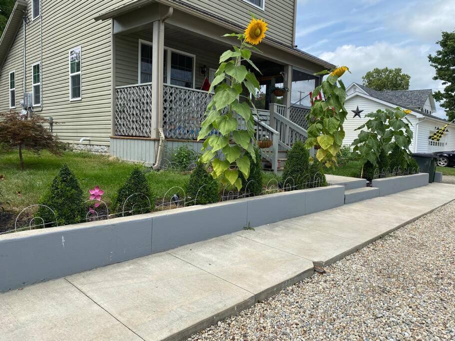 Solar Roof, Eco-Friendly Home Baltimore Kültér fotó